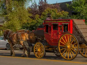 Jackson Hole