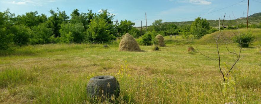 Dzalissa (Zalissa) settlement