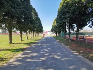 NK BELIŠĆE