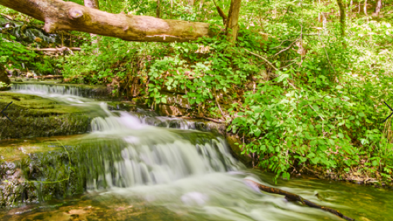Leonard Springs Nature Park