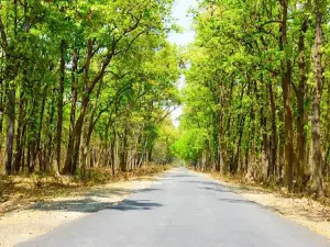 Dudhwa National Park & Tiger Reserve