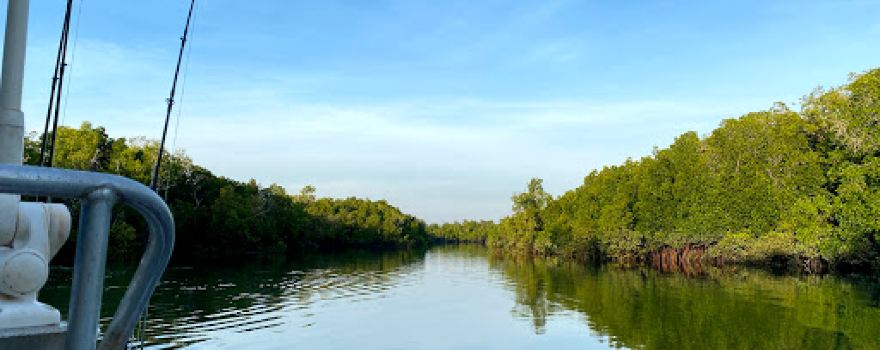 Estuary Escapes Fishing Charters