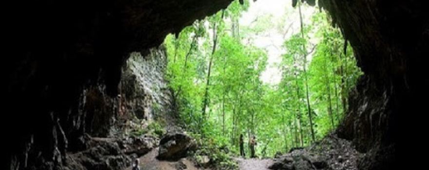 Cueva de la Quebrada El Toro National Park