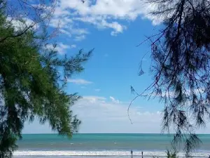 Pantai Arta Sungai Limau