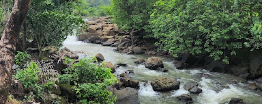 Anavi resort camping