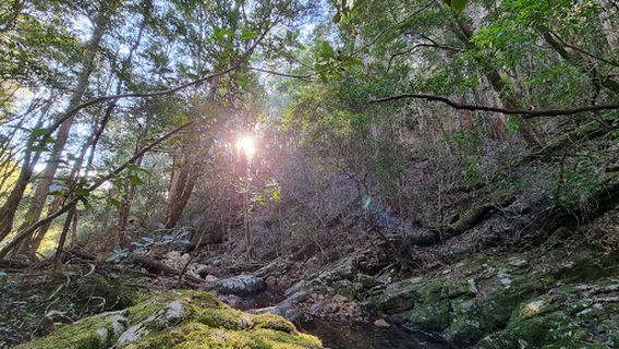 Mount Jerusalem National Park