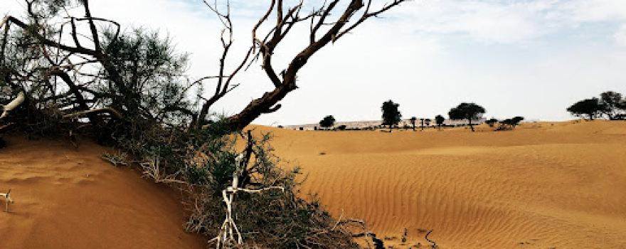 wadi aswad-Hamra Al Droroa