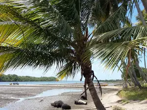 Povoado Coqueiro
