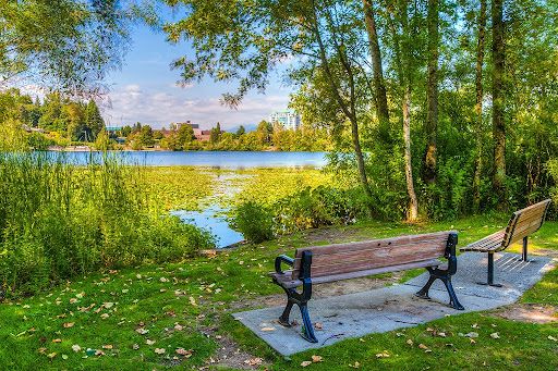 Mill Lake Park