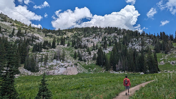 Alta Summer Camp