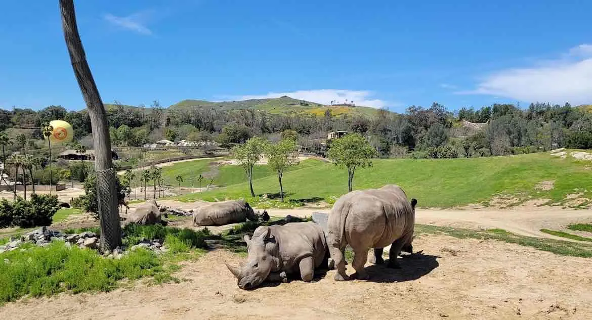 4_San Diego Zoo Safari Park