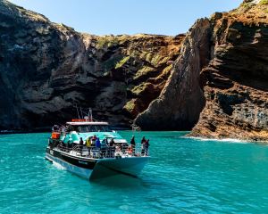 香港-阿卡羅阿 機票酒店 自由行