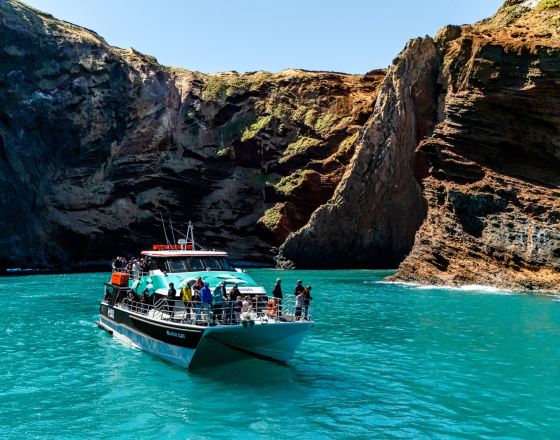 阿卡羅阿 自由行套票