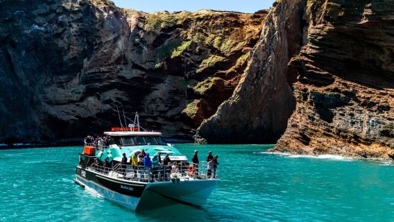 Black Cat Cruises