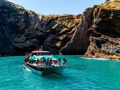 Black Cat Cruises