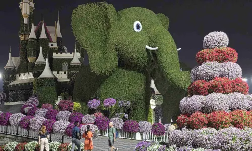 Dubai Miracle Garden