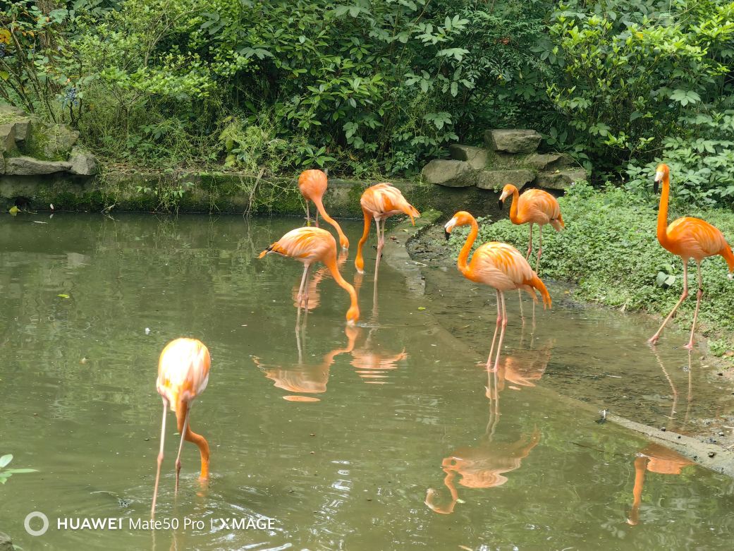 Hangzhou Zoo