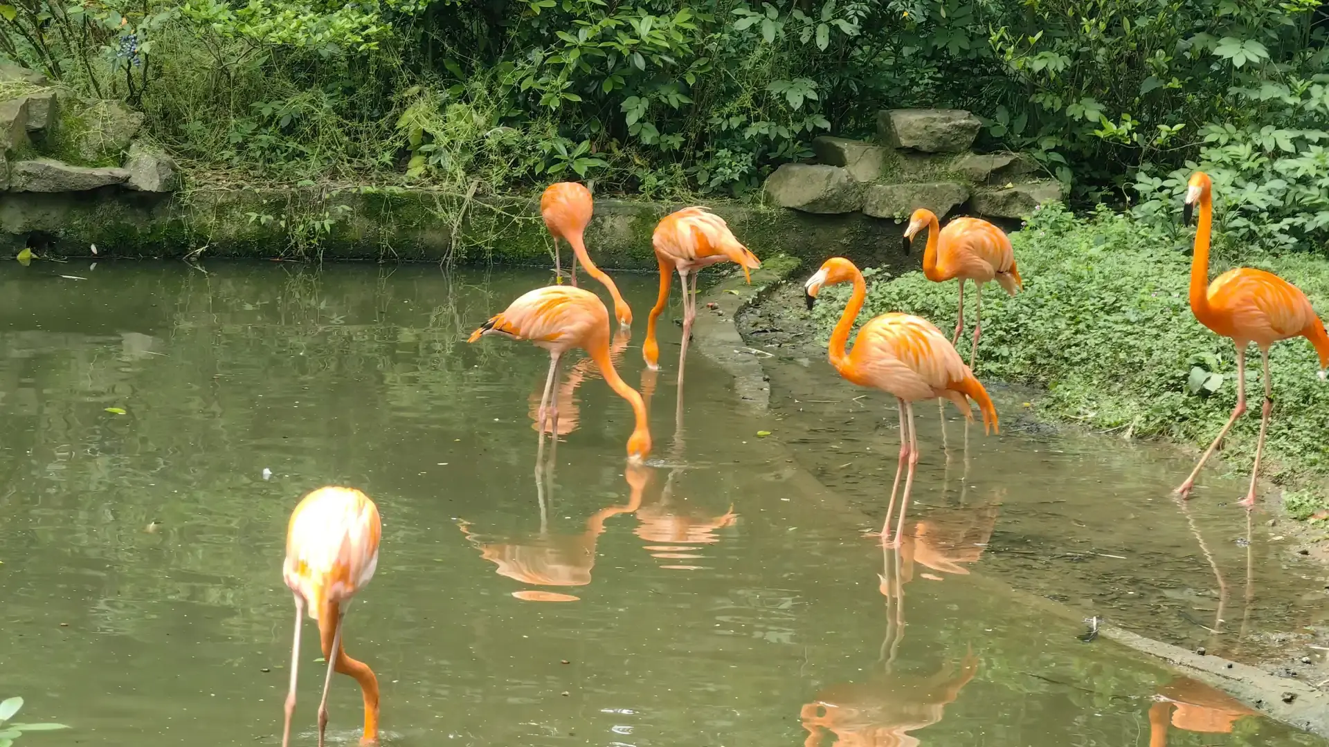 Hotels near Hangzhou Zoo
