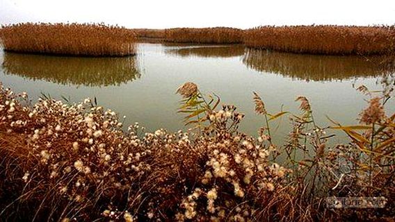 Dandong Yalujiangkou Wetland National Nature Reserve