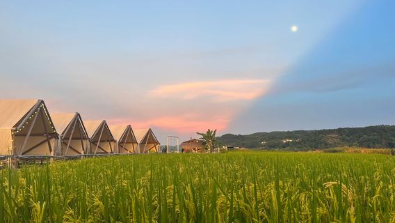 nan guo shui xiang - cai hong dao