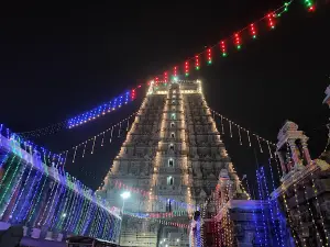 Tiruvannamalai Temple