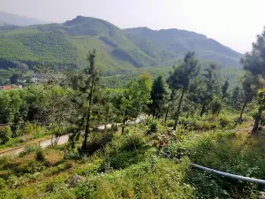 Khu DL TRƯƠNG GIA TRANG