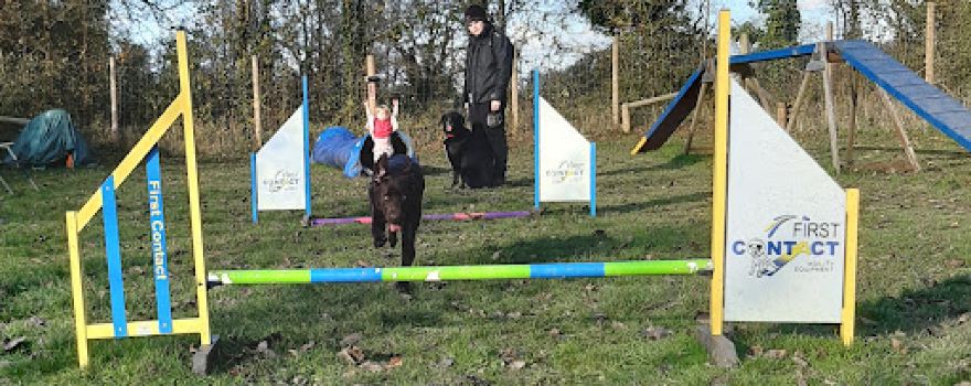 Merlin’s Meadows Secure Field