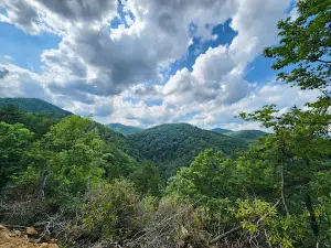 Catawba Falls Trailhead