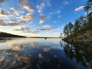 Kabetogama State Forest