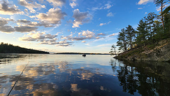 Kabetogama State Forest