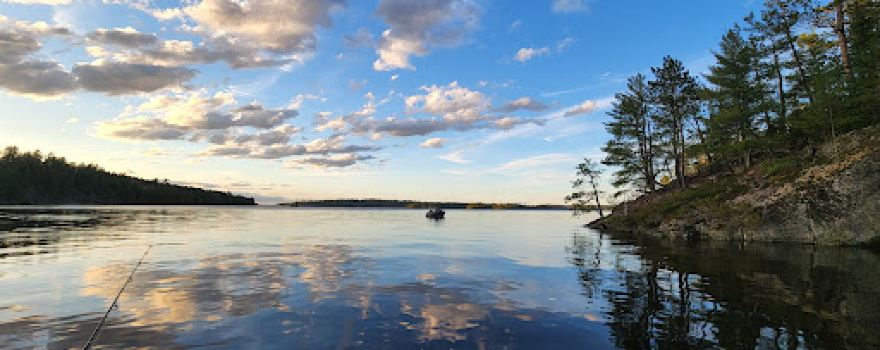 Kabetogama State Forest