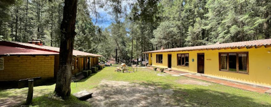 Santuario de las luciérnagas "Piedra Canteada"