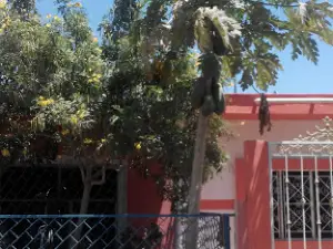 Ejidal Baseball Stadium