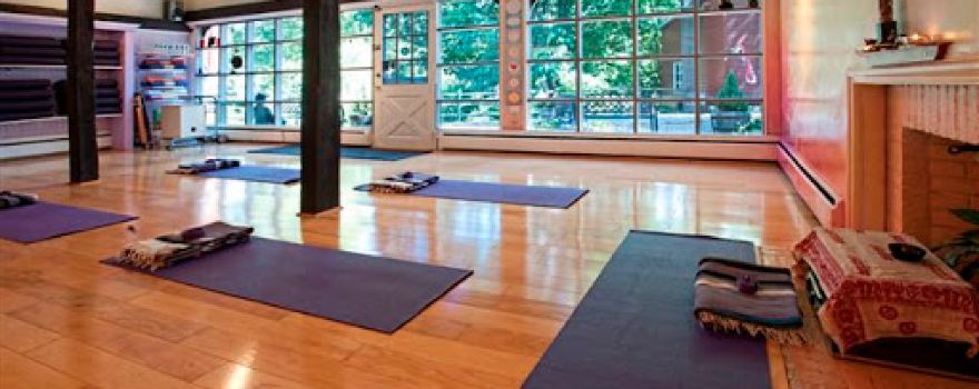 Shree Yoga Studios
