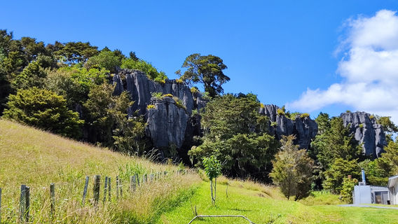 Kawiti Glowworm Caves