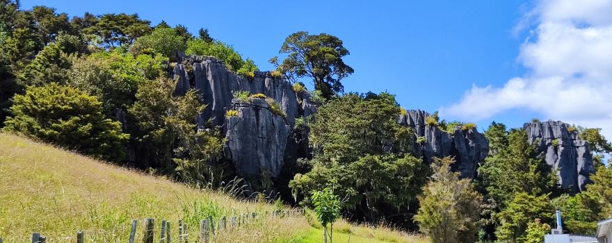 Kawiti Glowworm Caves