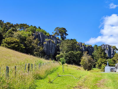 Kawiti Glowworm Caves