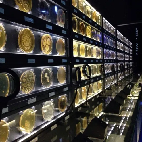 Micropia