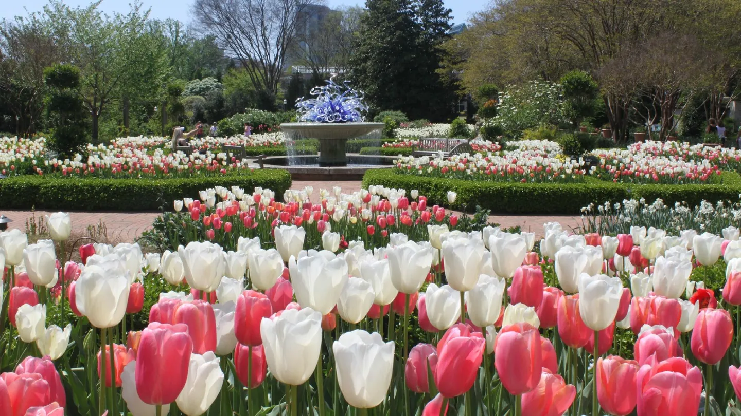 5_Atlanta Botanical Garden