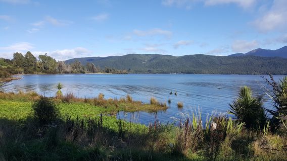 Punanga Manu o Te Anau / Te Anau Bird Sanctuary