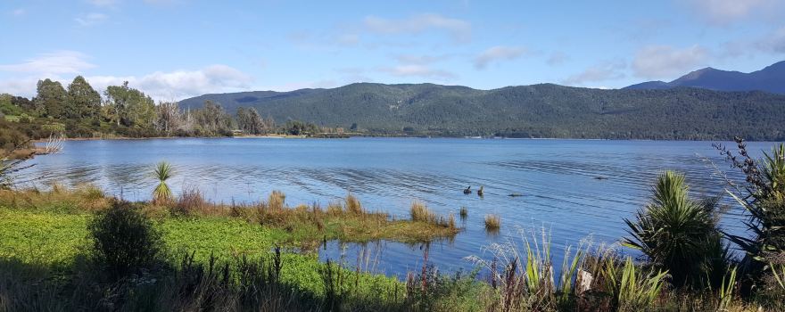 Te Anau Bird Sanctuary