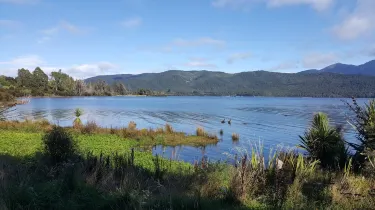 Punanga Manu o Te Anau / Te Anau Bird Sanctuary
