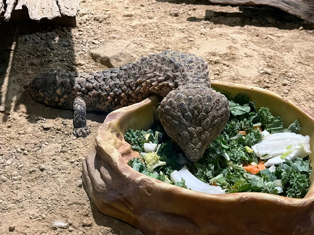 4_Symbio Wildlife Park
