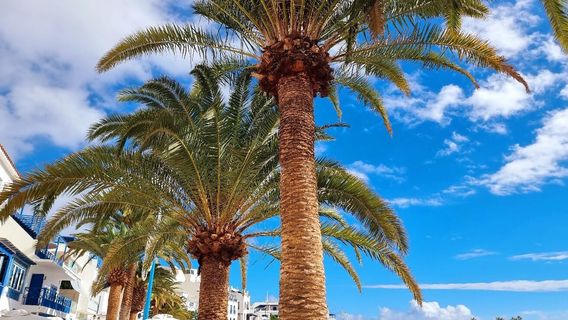 El Charco de San Gines