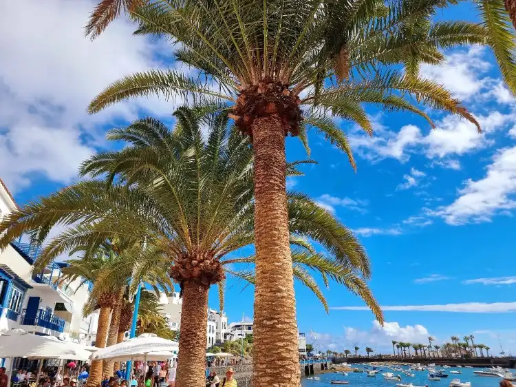 Hotels near Arrecife