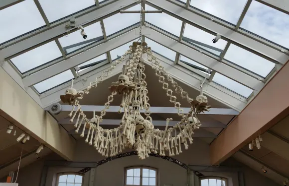 Tom Tits Experiment門票成人