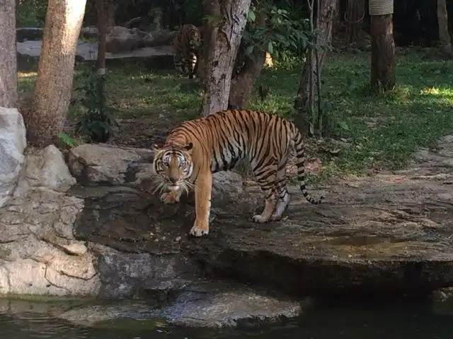Hotels near Ubon Ratchathani Zoo