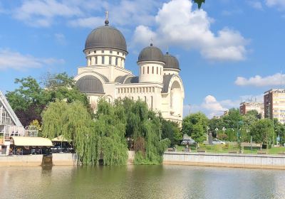 Parcul Padurice