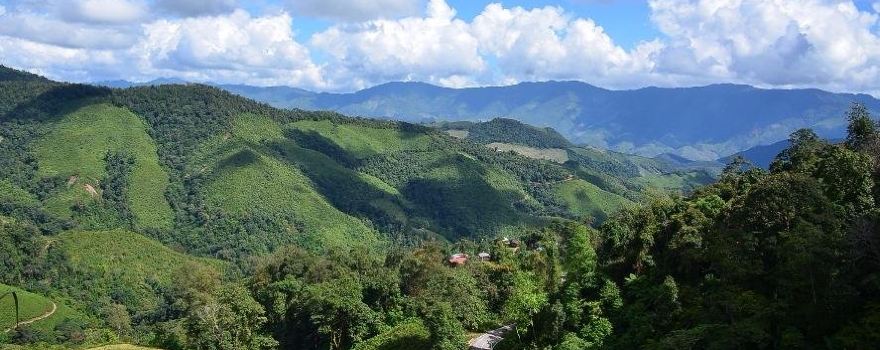 Doi Phu Kha National Park