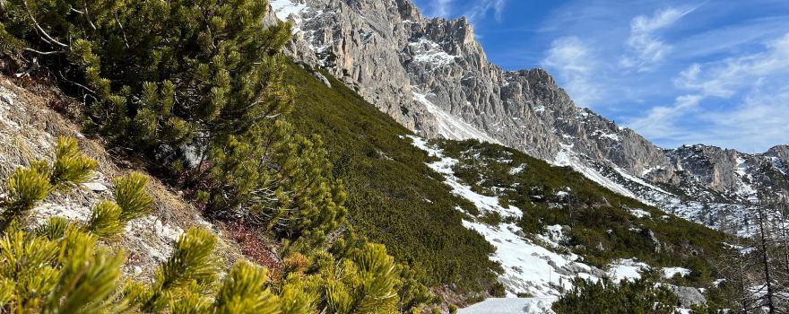 Auronzo di Cadore